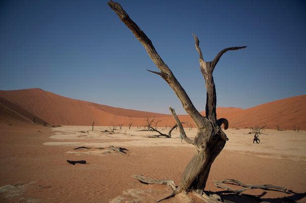 Namibia, la perla de África - Sputnik Mundo