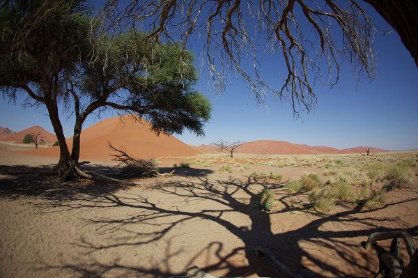 Namibia, la perla de África - Sputnik Mundo