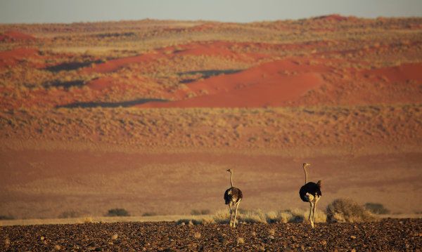 Namibia, la perla de África - Sputnik Mundo