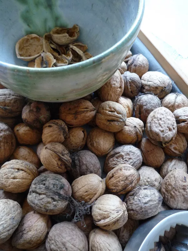 El consumo de nueces protege contra enfermedades del corazón - Sputnik Mundo