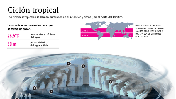 Ciclón tropical - Sputnik Mundo