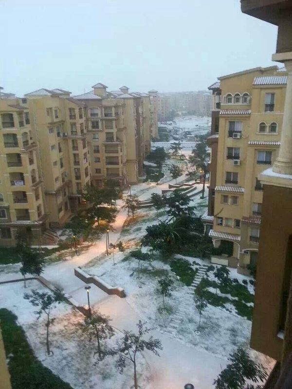 Nevada en El Cairo - Sputnik Mundo
