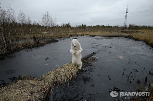 Las mejores fotos 2013 de  RIA Novosti - Sputnik Mundo