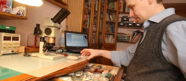 Vladímir Aniskin, miniaturista siberiano - Sputnik Mundo