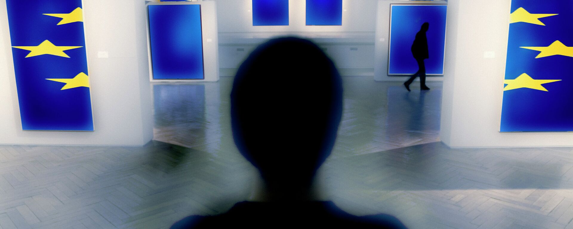 Banderas de la UE Banderas de la UE - Sputnik Mundo, 1920, 03.12.2023