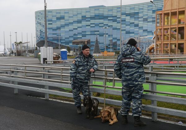 Sochi 2014, la Olimpiada blindada - Sputnik Mundo