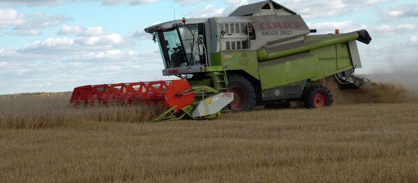 Rusia se opone a cultivos transgénicos - Sputnik Mundo