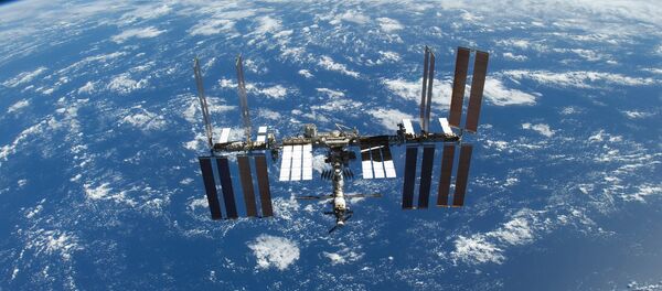 La Estación Espacial Internacional (ISS) La Estación Espacial Internacional (ISS) - Sputnik Mundo