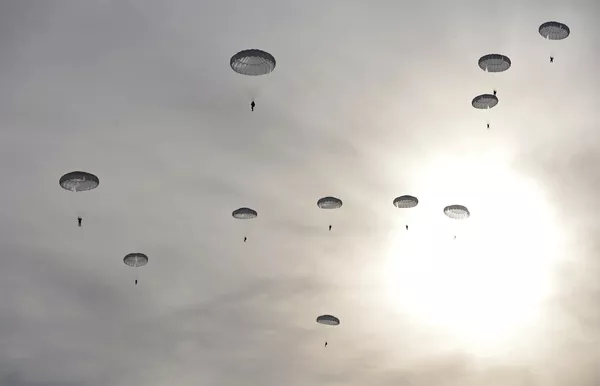 Paracaidistas militares rusos concluyen misión en el Ártico - Sputnik Mundo