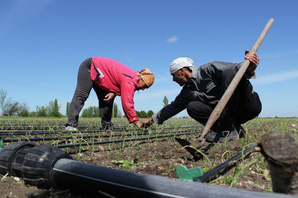 El problema con el agua en Crimea - Sputnik Mundo