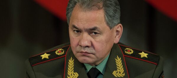Serguéi Shoigú, el ministro de Defensa de Rusia - Sputnik Mundo