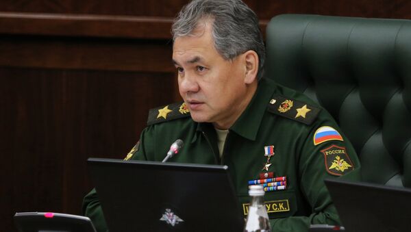 Serguéi Shoigú, ministro de Defensa de Rusia - Sputnik Mundo