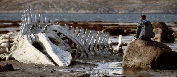 La película rusa Leviatán, quinta mejor del año para The Guardian - Sputnik Mundo