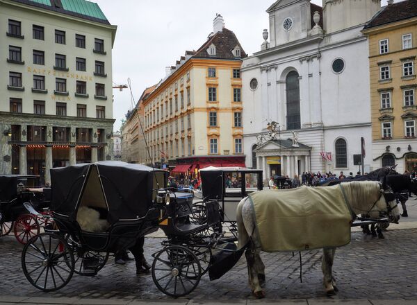 Austria y Rusia firman más de 20 acuerdos de cara a la visita de Putin a Viena - Sputnik Mundo