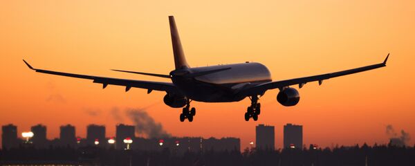 Un avión (imagen referencial) - Sputnik Mundo