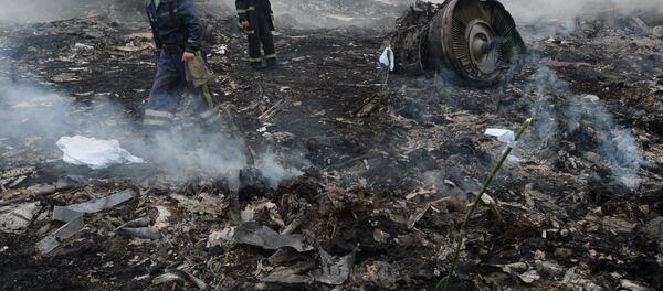 El lugar del siniestro del vuelo MH17 de Malaysia Airlines en Ucrania (archivo) - Sputnik Mundo