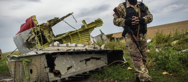 Lugar de la catástrofe del vuelo de MH17 en Ucrania - Sputnik Mundo