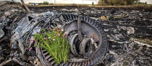Lugar de la catástrofe del vuelo de MH17 en Ucrania (Archivo) - Sputnik Mundo