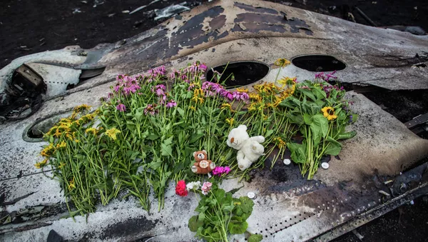 La retirada de las víctimas del MH17 derribado sobre Ucrania empieza mañana - Sputnik Mundo