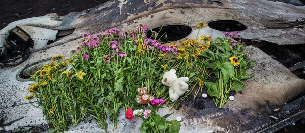 Los restos del avión malasio derribado en el este de Ucrania - Sputnik Mundo