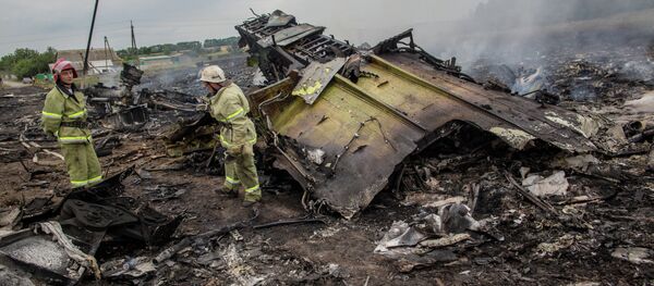Un año de la tragedia del MH17 en Donetsk Un año de la tragedia del MH17 en Donetsk - Sputnik Mundo