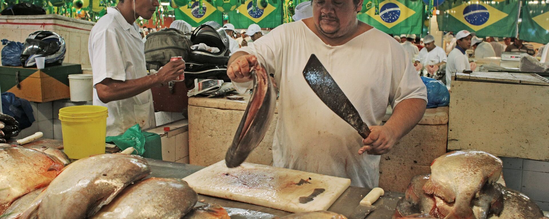 Жизнь бразильских городов во время Чемпионата мира по футболу - Sputnik Mundo, 1920, 14.04.2017