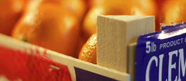 Los agricultores españoles denuncian que los intermediarios se lucran con el veto ruso Los agricultores españoles denuncian que los intermediarios se lucran con el veto ruso - Sputnik Mundo