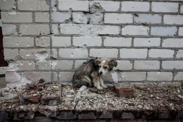 Ucrania en fotos de Andréi Stenin, reportero de Rossiya Segodnya desaparecido en Donetsk - Sputnik Mundo