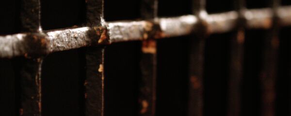 Rejas de la cárcel - Sputnik Mundo