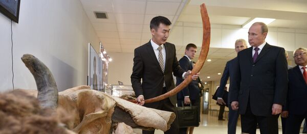 Putin habla con científicos sobre el clonaje de mamuts Putin habla con científicos sobre el clonaje de mamuts - Sputnik Mundo