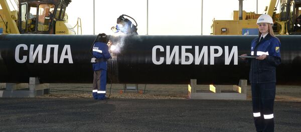 Construcción del gasoducto Fuerza de Siberia Construcción del gasoducto Fuerza de Siberia - Sputnik Mundo