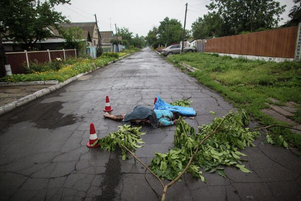 MH17: escenas del lugar de la catástrofe - Sputnik Mundo