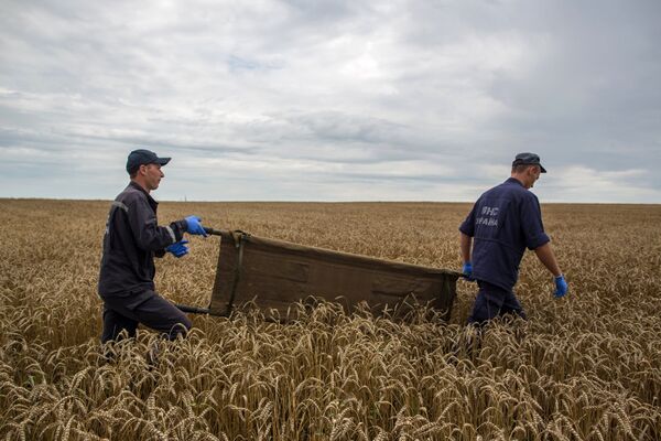 MH17: escenas del lugar de la catástrofe - Sputnik Mundo