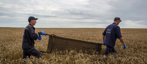 MH17: escenas del lugar de la catástrofe - Sputnik Mundo
