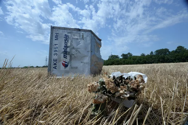 MH17: escenas del lugar de la catástrofe MH17: escenas del lugar de la catástrofe - Sputnik Mundo