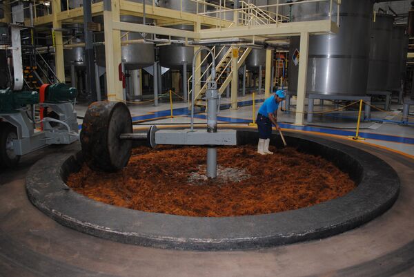 Los asombrosos beneficios del tequila para la salud Los asombrosos beneficios del tequila para la salud - Sputnik Mundo