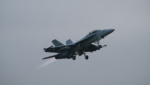 Hornet - Sputnik Mundo
