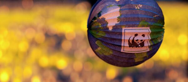 “Se requiere de manera urgente un liderazgo que proteja el futuro del planeta” - Sputnik Mundo