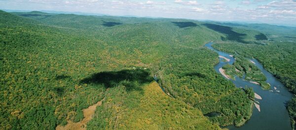 Taiga - Sputnik Mundo