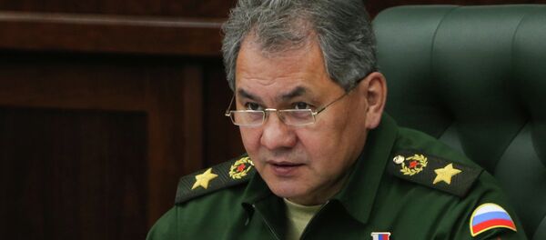 Serguéi Shoigú, ministro de Defensa de Rusia - Sputnik Mundo