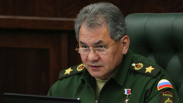 Serguéi Shoigú, ministro de Defensa de Rusia - Sputnik Mundo