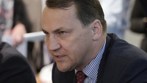 Radoslaw Sikorski, presidente del Parlamento nacional de Polonia - Sputnik Mundo