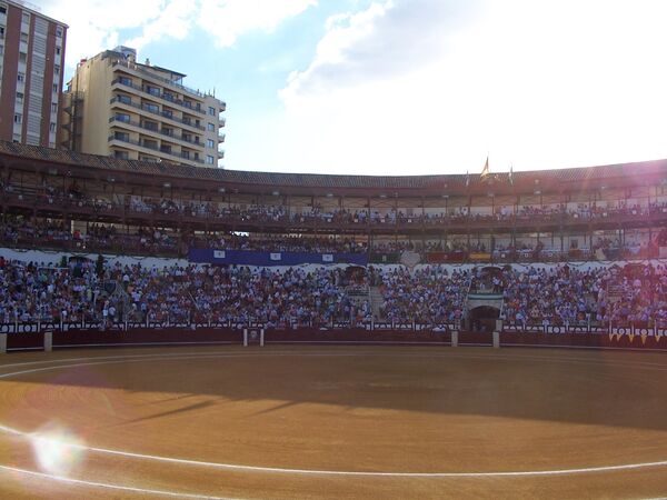 Muere el torero retirado José María Manzanares - Sputnik Mundo