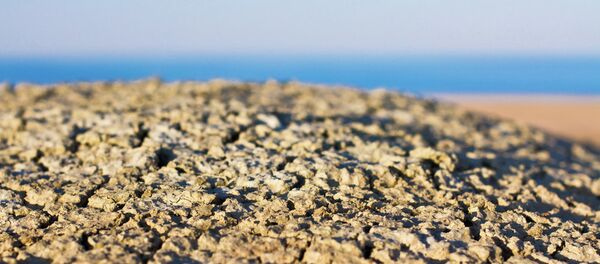 Mar de Aral - Sputnik Mundo