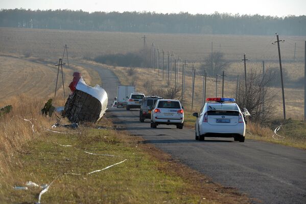 Un año de la tragedia del MH17 en Donetsk - Sputnik Mundo