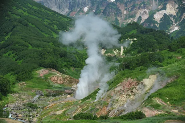 Valle de los géiseres de la Kamchatka Valle de los géiseres de la Kamchatka - Sputnik Mundo