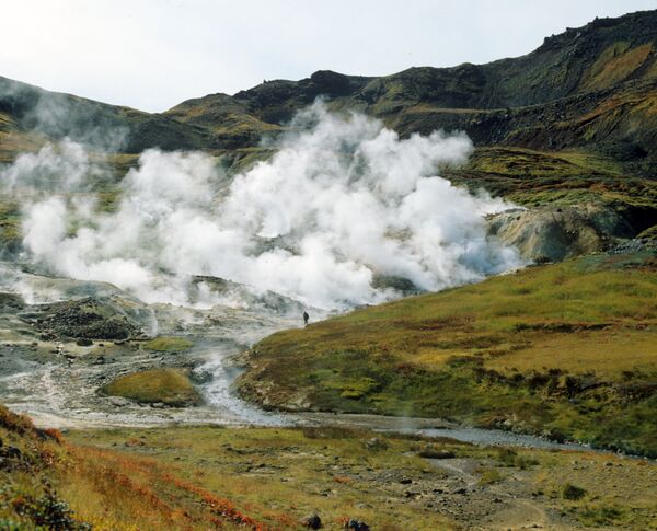 Valle de los géiseres de la Kamchatka Valle de los géiseres de la Kamchatka - Sputnik Mundo