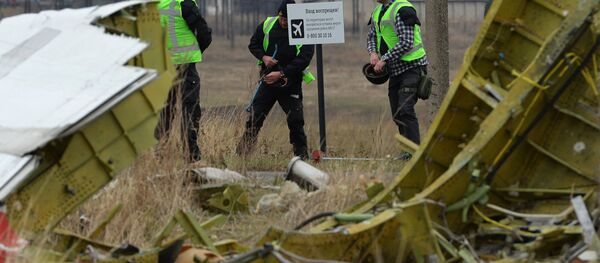 Expertos holandeses en el lugar del desplome del Boeing de Malasia Expertos holandeses en el lugar del desplome del Boeing de Malasia - Sputnik Mundo
