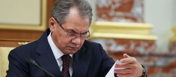 Serguéi Shoigú, ministro ruso de Defensa - Sputnik Mundo