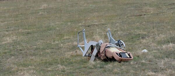 Lugar de la caída del MH17 - Sputnik Mundo